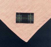 detalle del pa�uelo de Gilwell